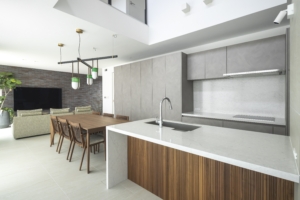 (88)House I